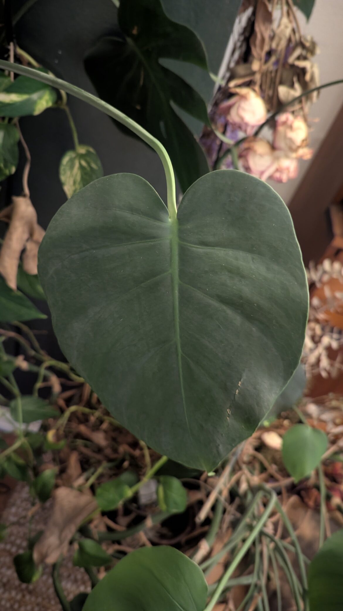 First Time Props – Double-checking process First Time Props - Double-checking process