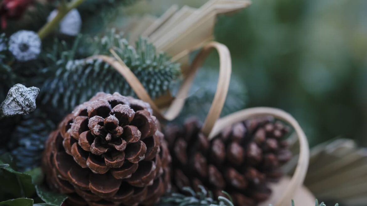 How to create festive wreaths and garlands using garden materials How to create festive wreaths and garlands using garden materials