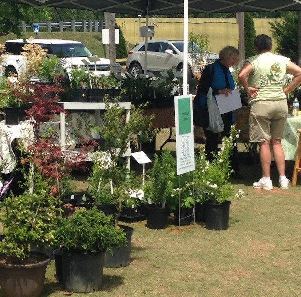 Cobb Master Gardener Volunteers announce spring 2026 events