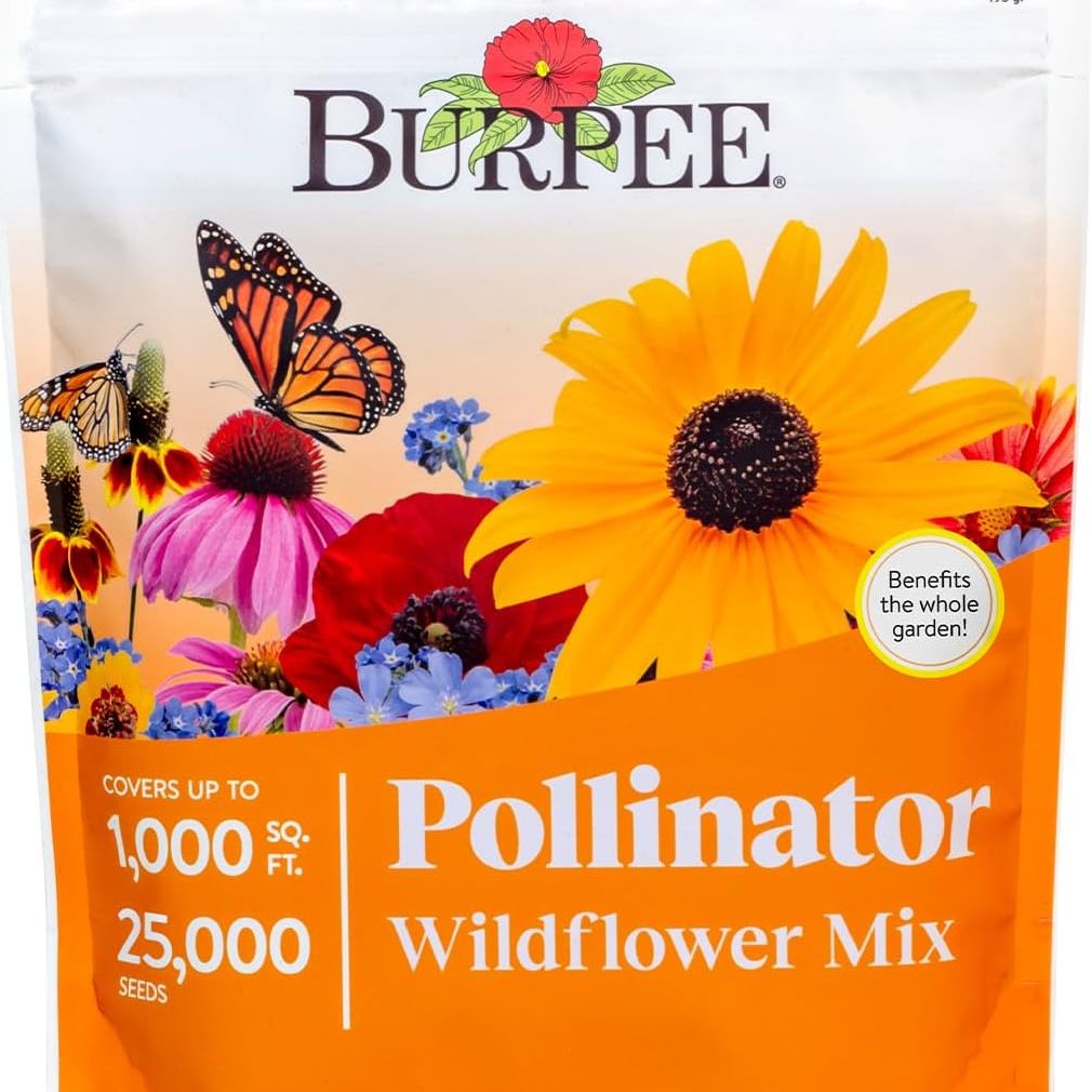 Burpee Wildflower 25,000 Bulk, 1 Bag, 18 Varieties of Non-Gmo Flower Seeds Pollinator Garden, Pollinator Mix