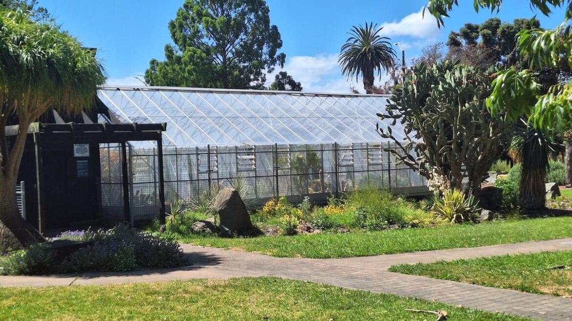 Gisborne Botanical Gardens cactus house faces closure after vandalism