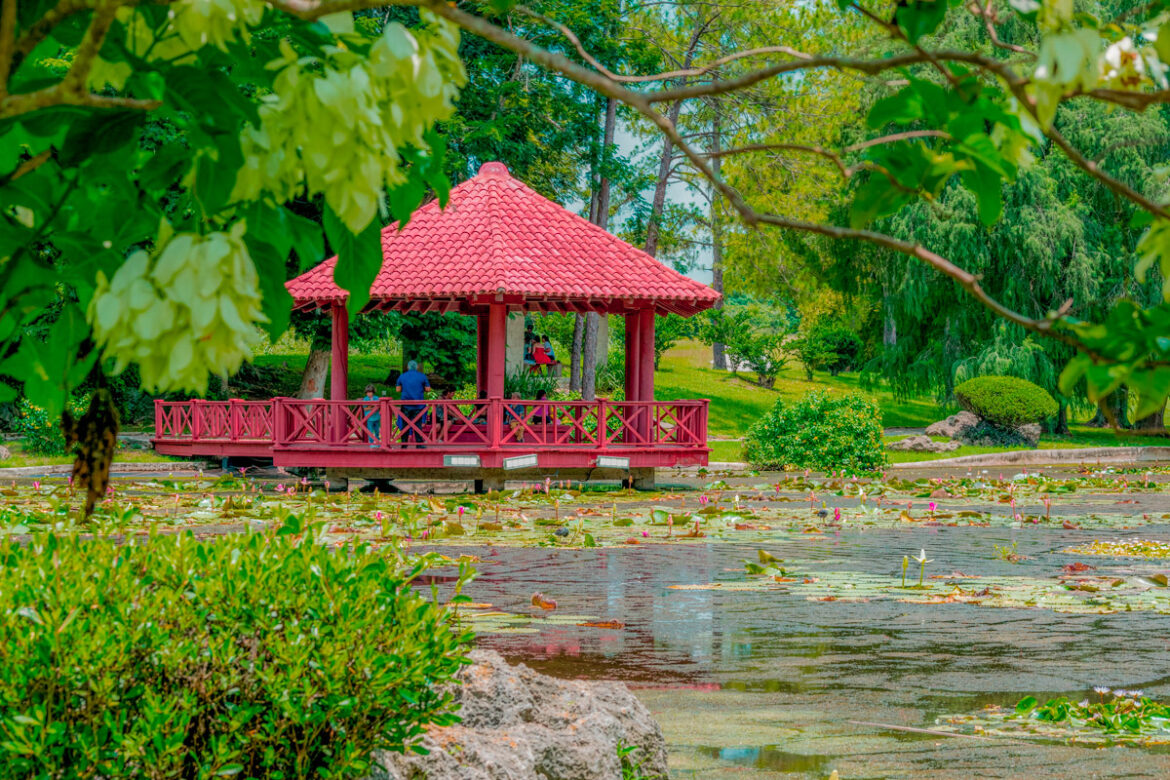 Havana’s Japanese Garden, Beauty in Oblivion Havana's Japanese Garden, Beauty in Oblivion