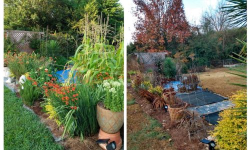 December Winter Garden Chore