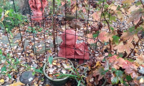 December Winter Garden Chore