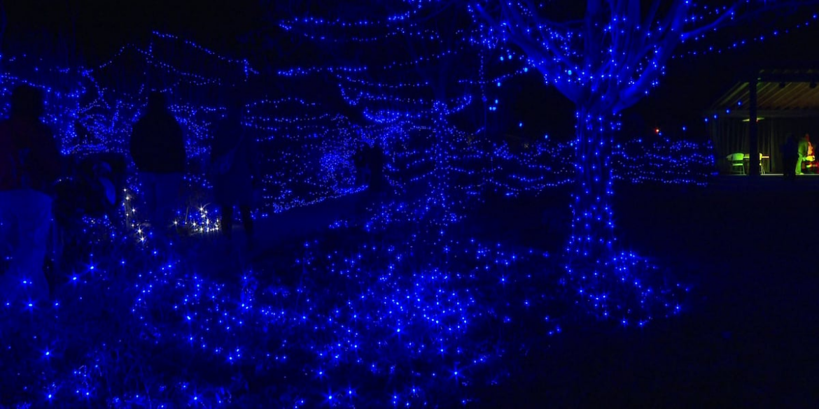 Blue light display returns to Western Colorado Botanical Gardens