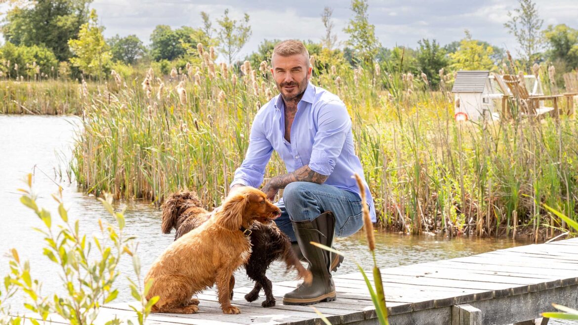 Country Life's top 10 garden stories of 2025, from Alan Titchmarsh's hardy annuals to David Beckham's Cotswolds paradise