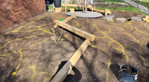 Demarcated planting zones surround the balance beam.
