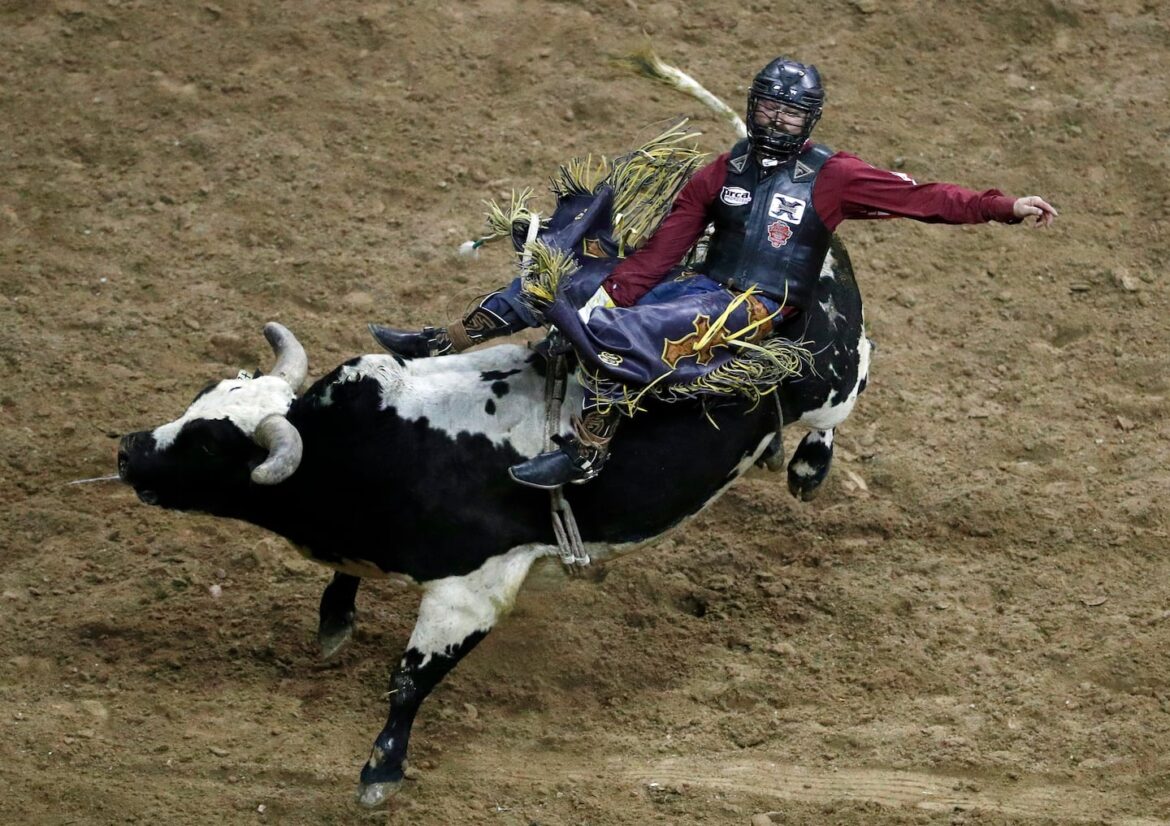 Professional bull riding is coming to Boston.