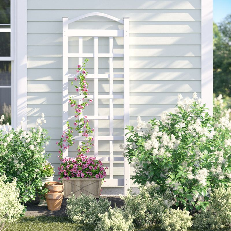 Winston Porter Arrya Vinyl Lattice Panel Trellis &amp; Reviews | Wayfair