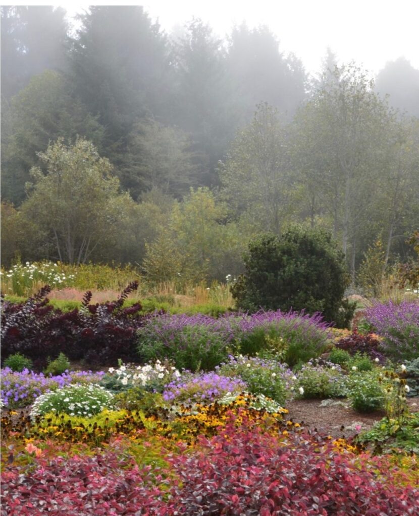 ‘In your own backyard’ – Times-Standard