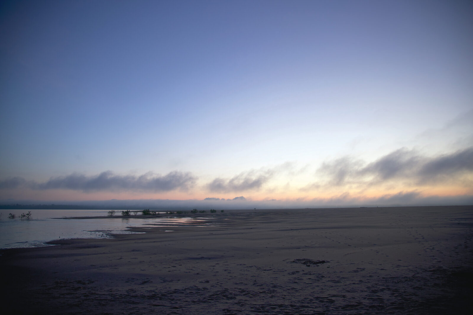 The banks of the Mississippi River