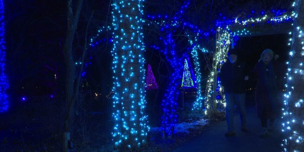 Fernwood Botanical Garden celebrates fifth year of winter light display