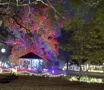 Master Gardener Miriam Harris brings a ‘glow’ to Madison Station Botanic Garden Master Gardener Miriam Harris brings a ‘glow’ to Madison Station Botanic Garden