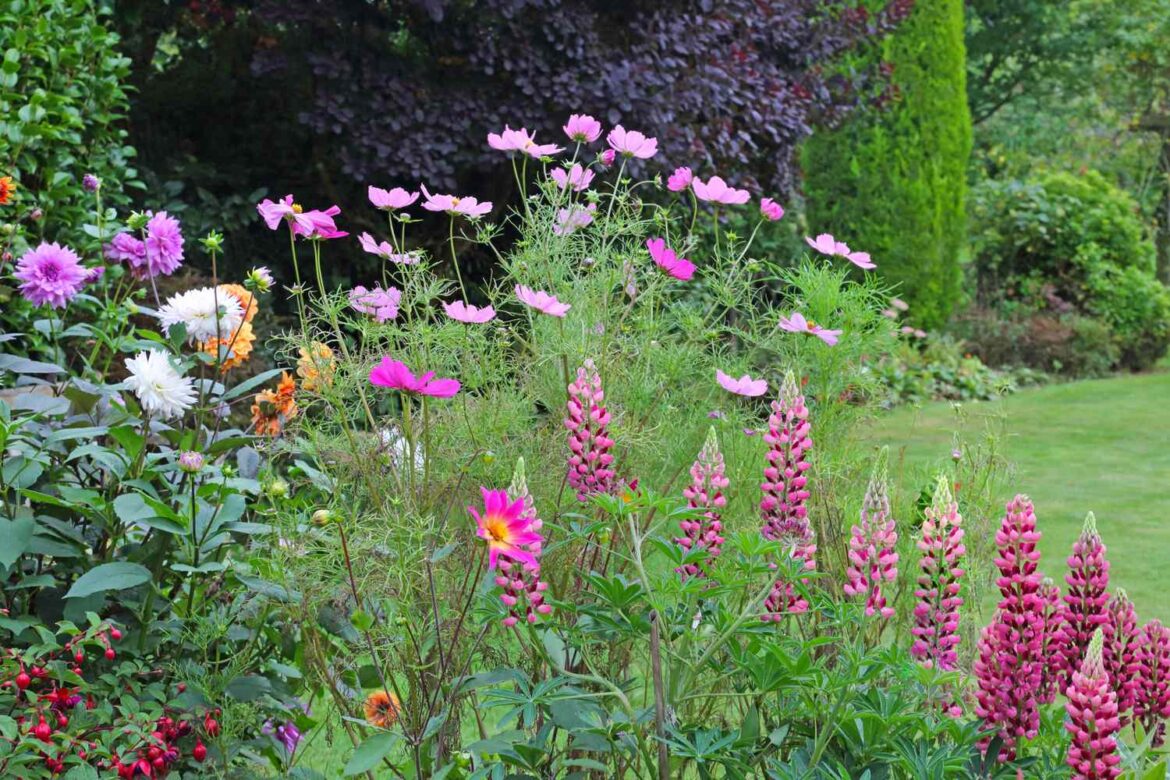 Gardening Trends Taking Over Backyards in 2026