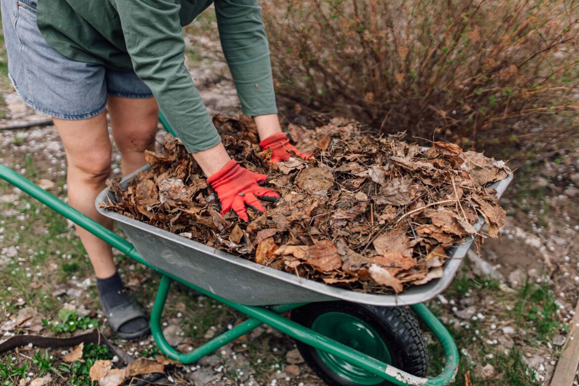 Is It Too Late to Protect Your Plants This Winter? We Asked Gardeners Is It Too Late to Protect Your Plants This Winter? We Asked Gardeners
