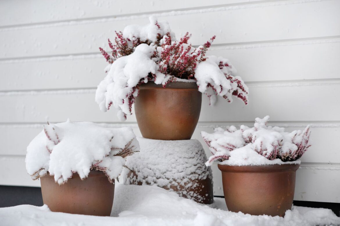 How To Keep Outdoor Planters From Cracking In Winter How To Keep Outdoor Planters From Cracking In Winter