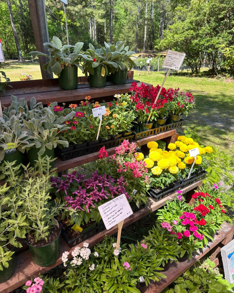 Holiday Gifts For the Gardener in Your Life