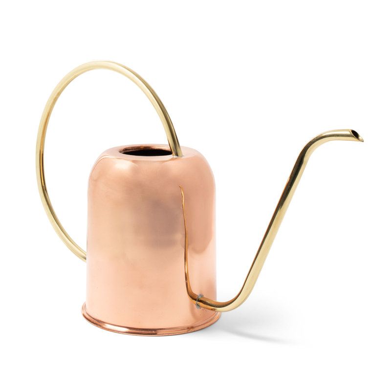 Kings County Tools Small Copper Watering Can | Wayfair