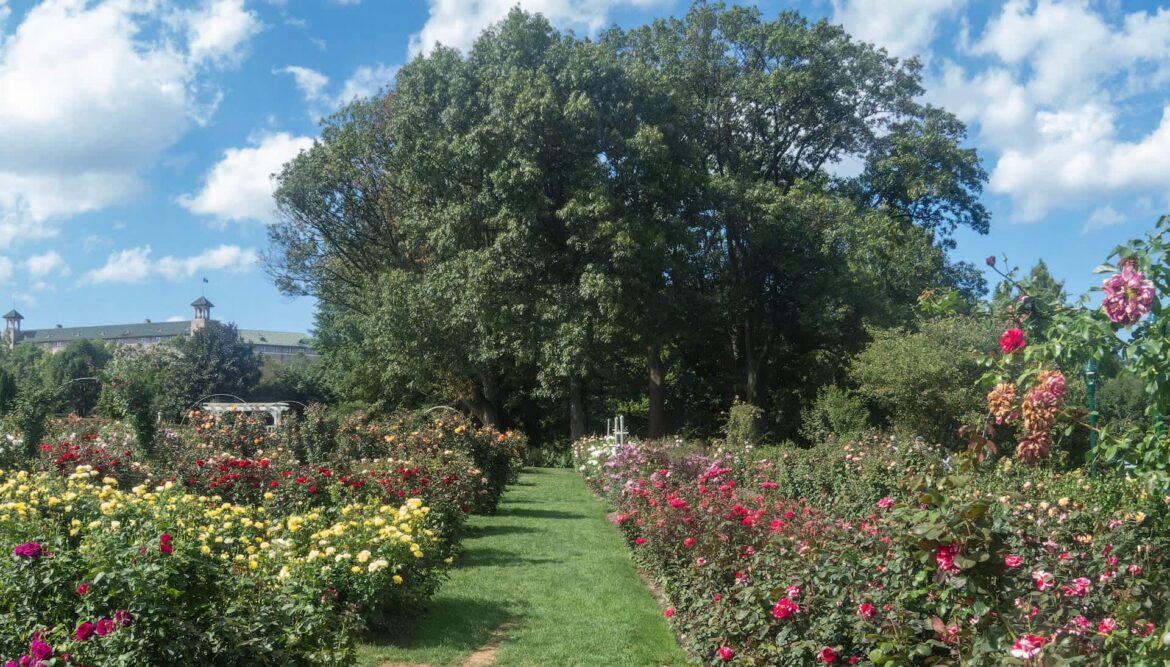 Deb Wiles now leads horticultural work at Hershey's Gardens, caring for the site's abundant plant life.
