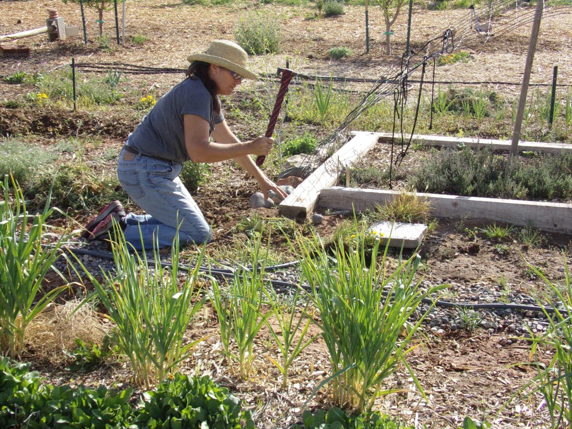 I made a Raven's Beak Warhammer, and my wife confiscated it for getting weeds up at the root. I said, "But that's a Warhammer!" and she replied, "Well, I am at war with these weeds!"