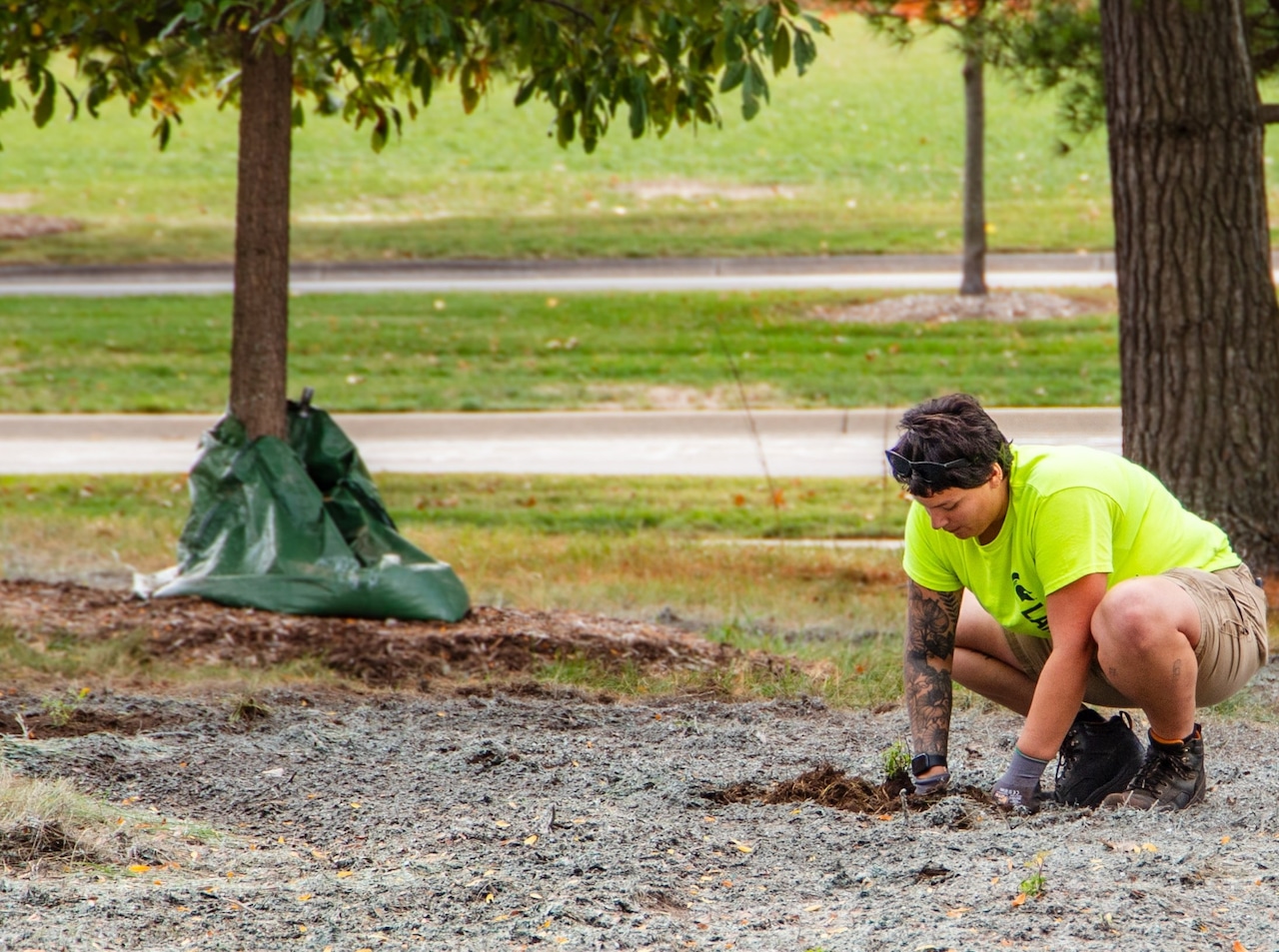 Pollinator-supporting landscaping at MSU