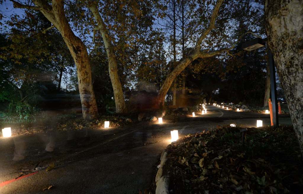 Claremont’s California Botanic Garden offers Luminaria Nights – Daily Bulletin Claremont’s California Botanic Garden offers Luminaria Nights – Daily Bulletin