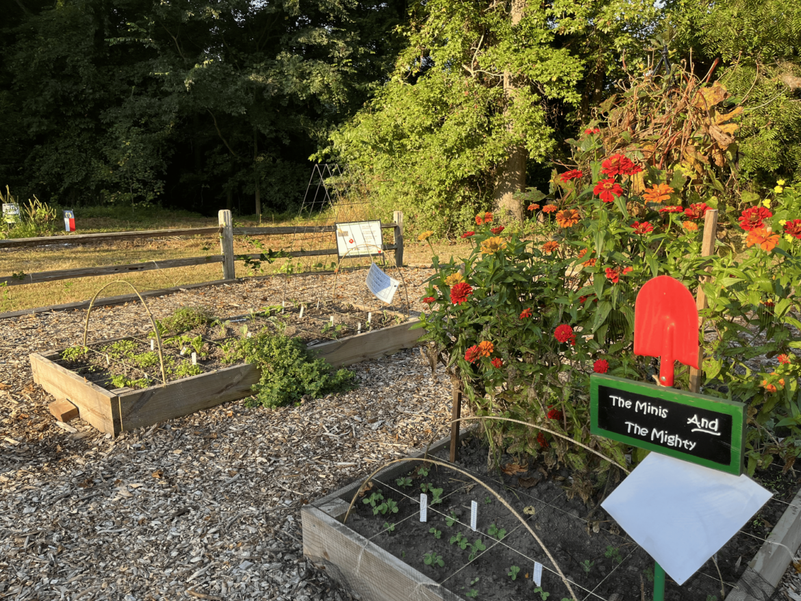Where Heirlooms & History Meet the Garden in Our Community — Neuse News Where Heirlooms & History Meet the Garden in Our Community — Neuse News