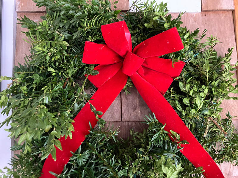 Garden Notes: December – The Martha’s Vineyard Times Garden Notes: December - The Martha's Vineyard Times