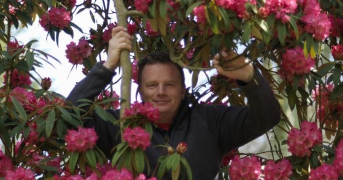 Sadness expressed at death of renowned head gardener and writer Seamus O’Brien – The Irish Times Sadness expressed at death of renowned head gardener and writer Seamus O’Brien – The Irish Times