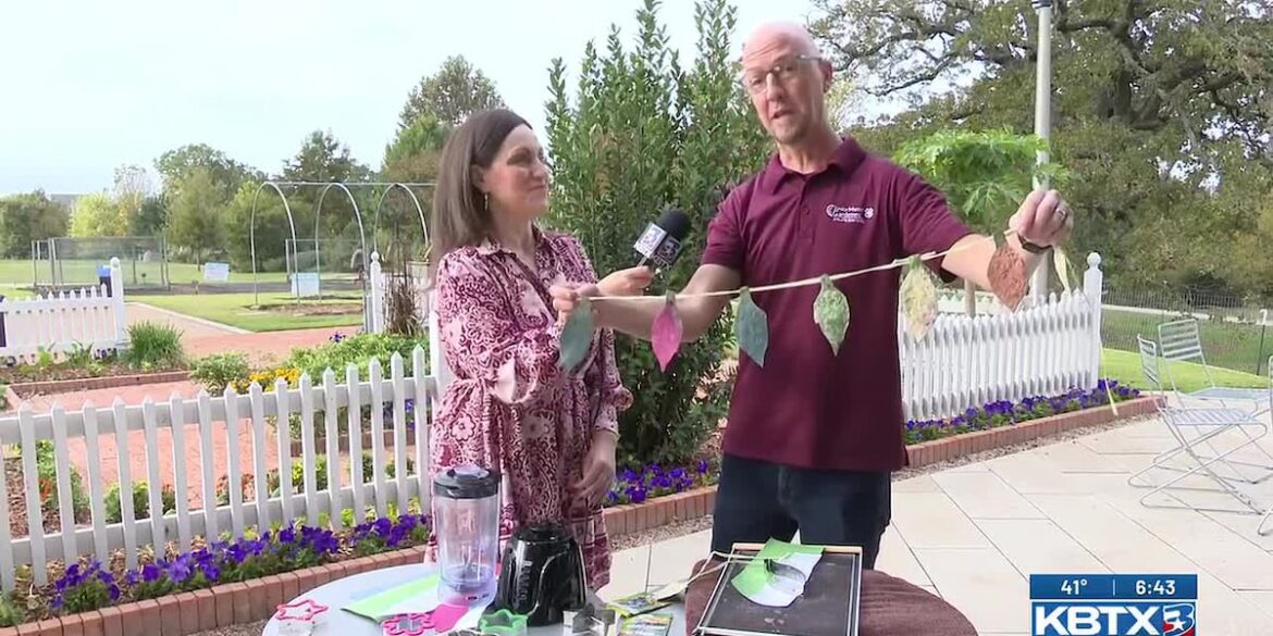 Make grow cards and grow ornaments this season Make grow cards and grow ornaments this season