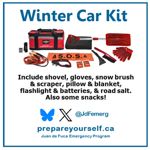 winter car kit, be prepared