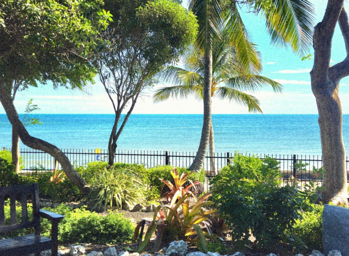 a view of the ocean from a park bench