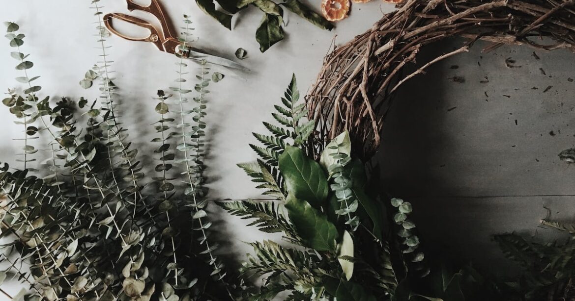 How to deck the halls with home-grown Christmas greenery – The Irish Times