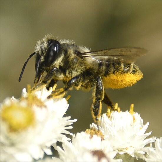 LCBPE48-30-231.jpg LCBPE48-30-231.jpg