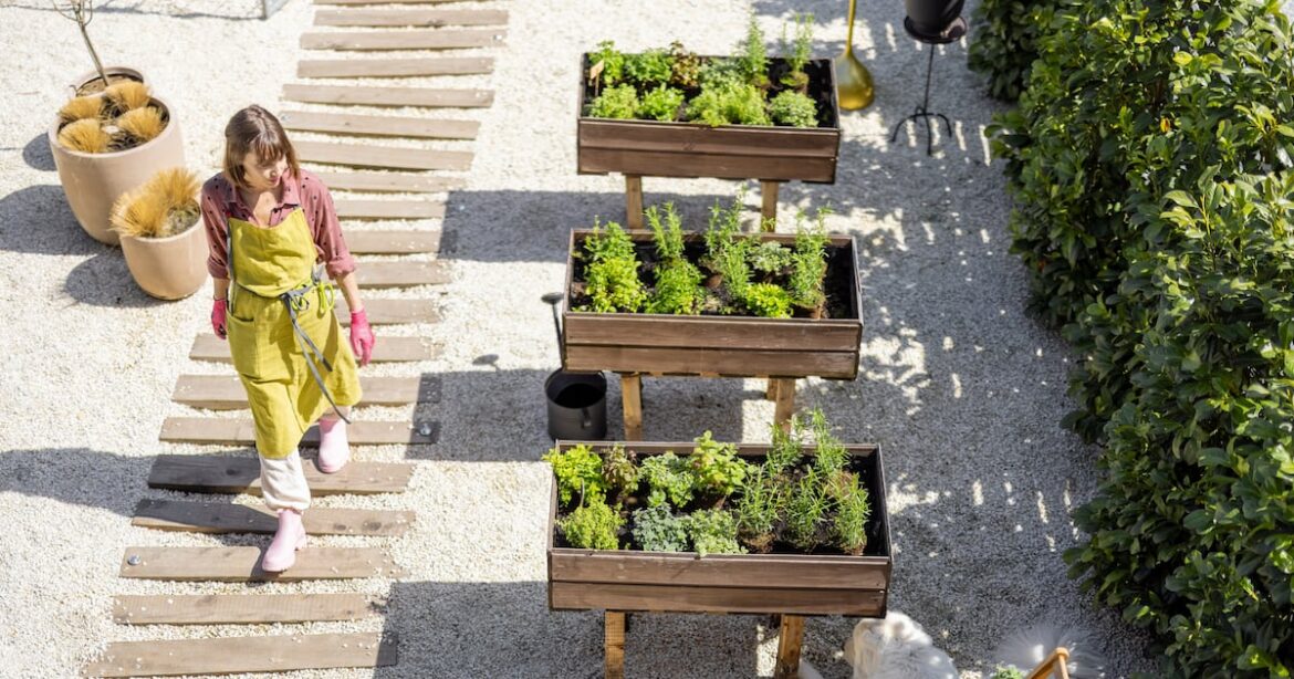 Six easy ways to make your garden a planet hero