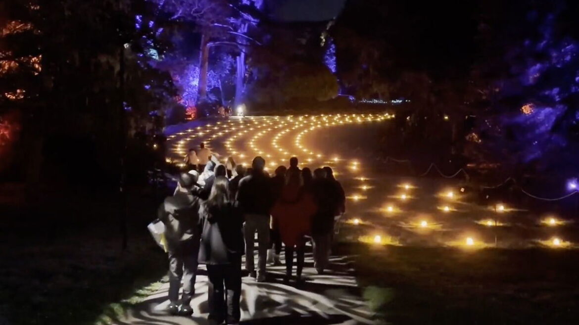 San Francisco's Botanical Garden hosts Lightscape Exhibit