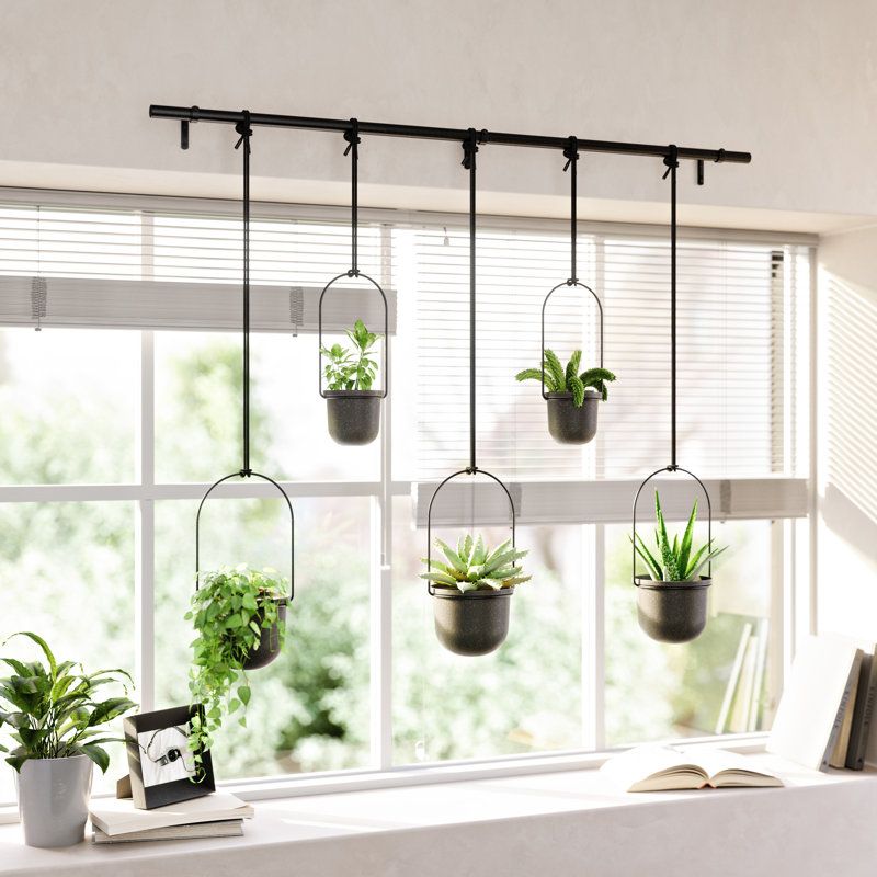 Umbra 5-Piece Plastic Hanging Planter Set &amp; Reviews | Wayfair