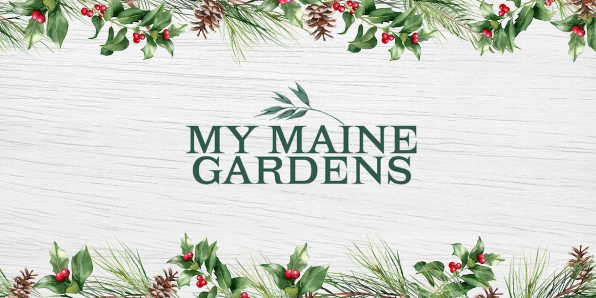 10 garden gifts for under $10 10 garden gifts for under $10