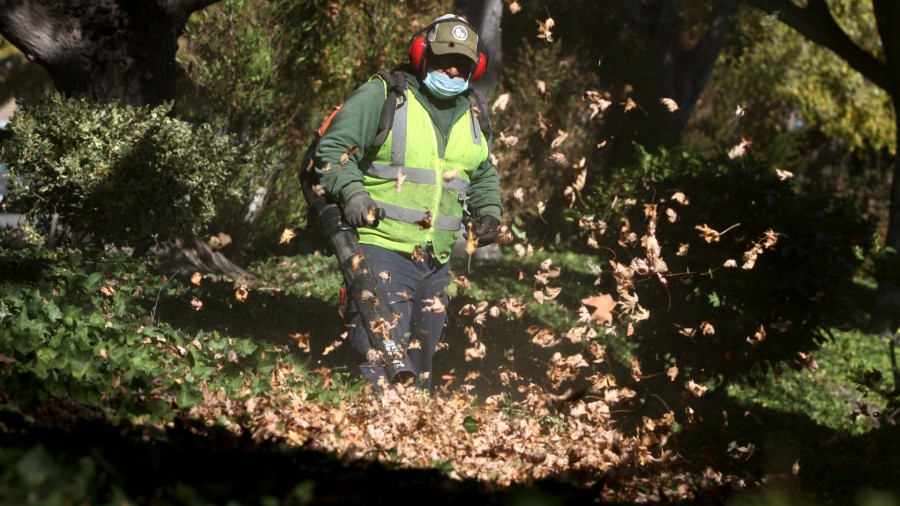 Portland weeks away from gas powdered leaf blower ban Portland is a few weeks away from banning gas-powered leaf blowers. (Photo by Sarah Dussault/MediaN...