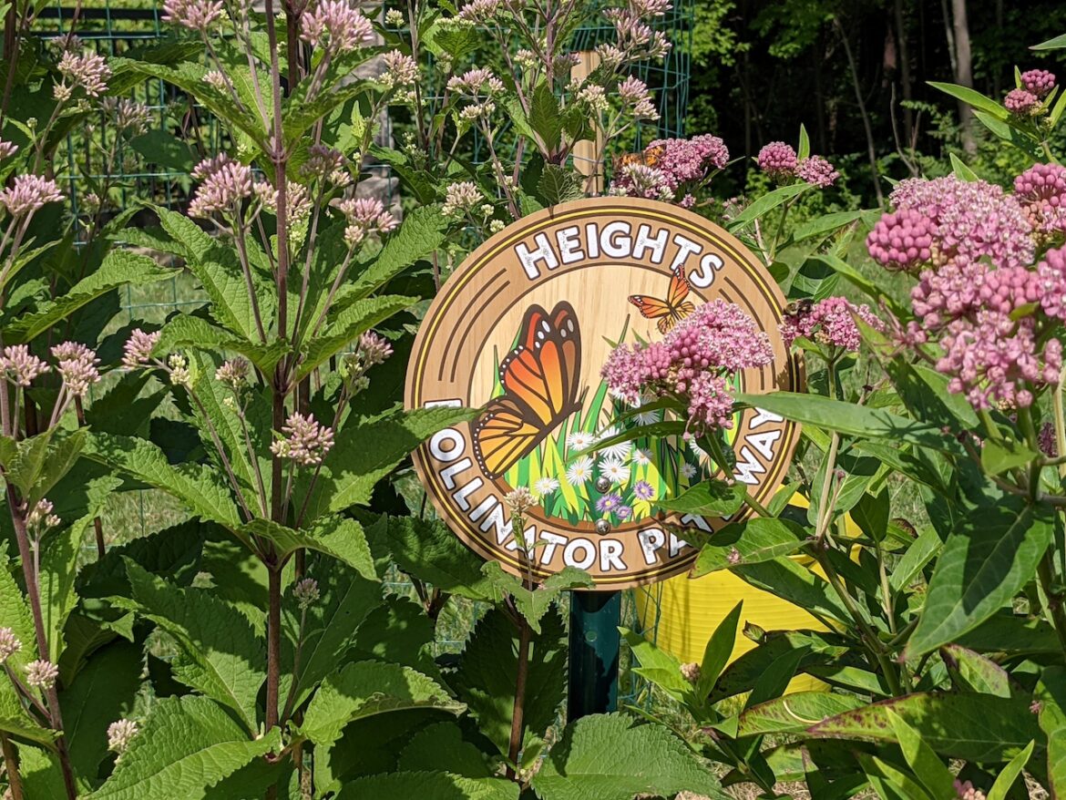 Growing a native garden? How to get a sign to show it Mostly Sunny