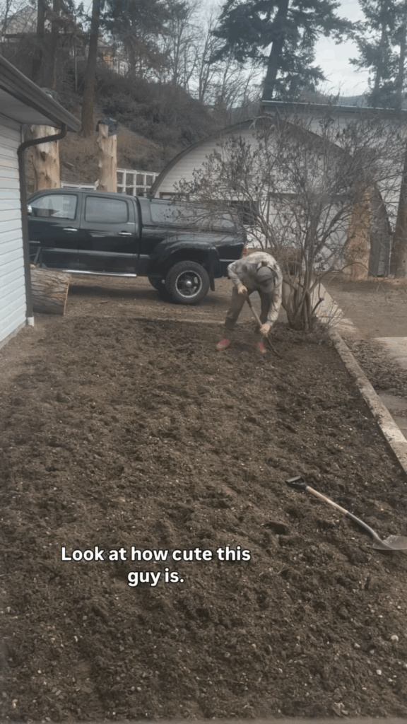 Lawn converted into a wildflower paradise