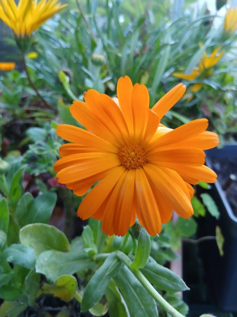 My favorite of the day