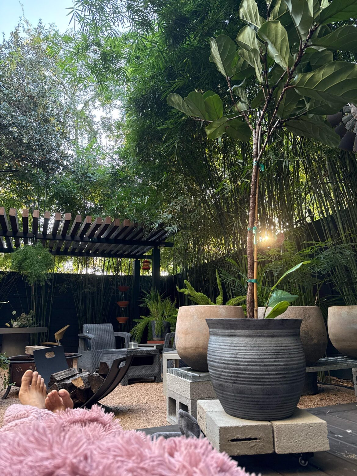 My garden right now …