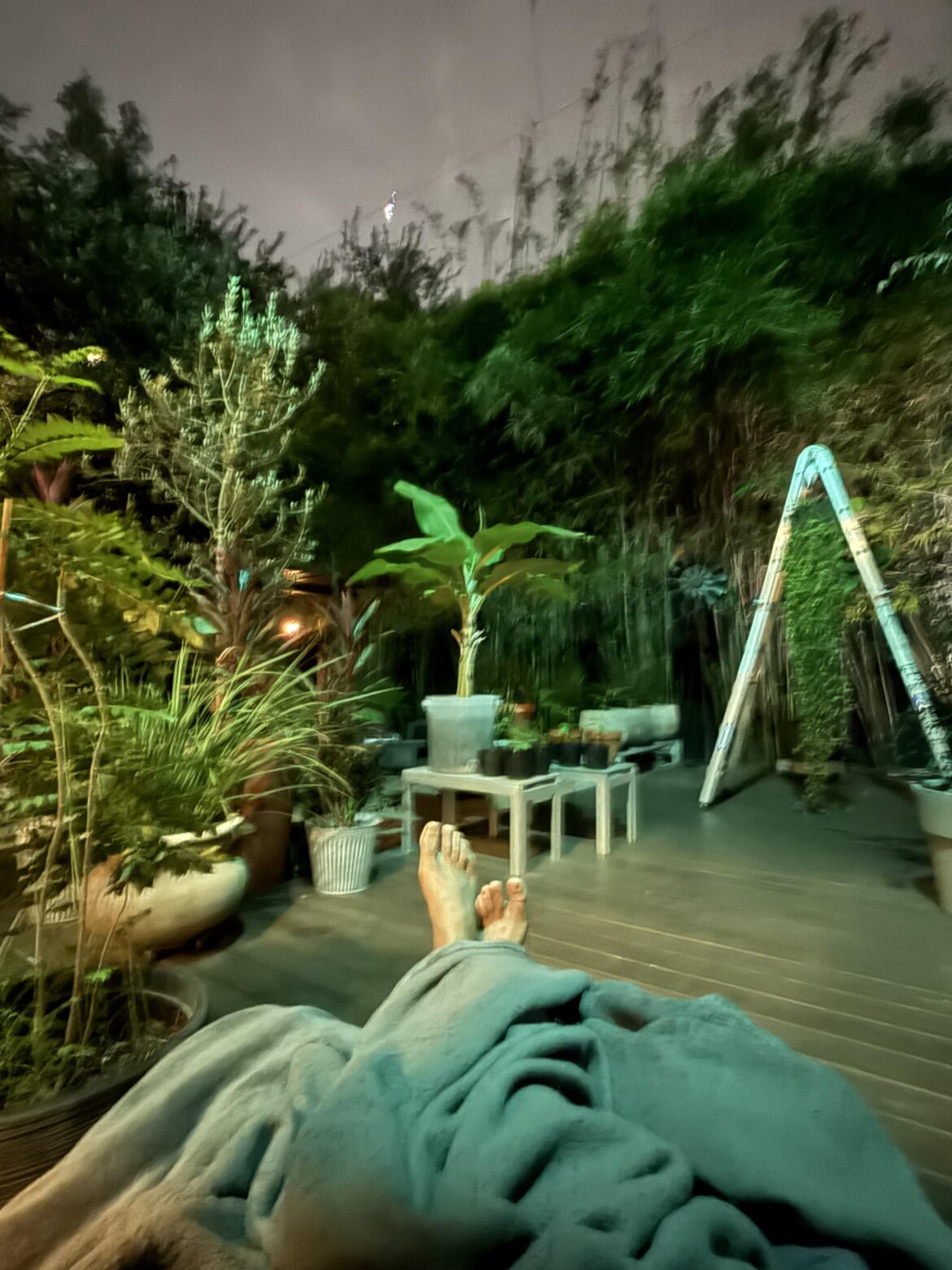 My garden right now…