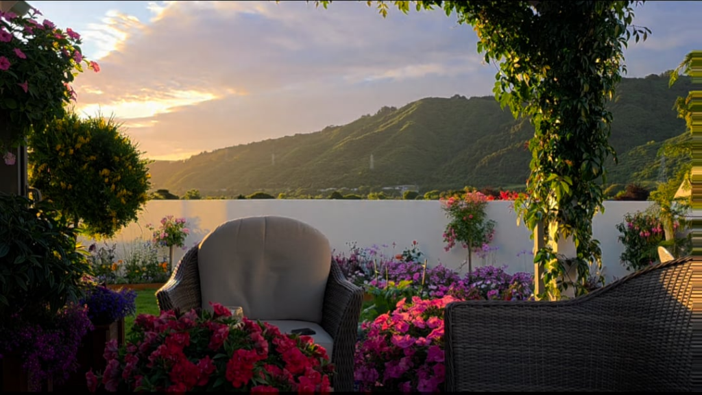 My little garden in New Zealand