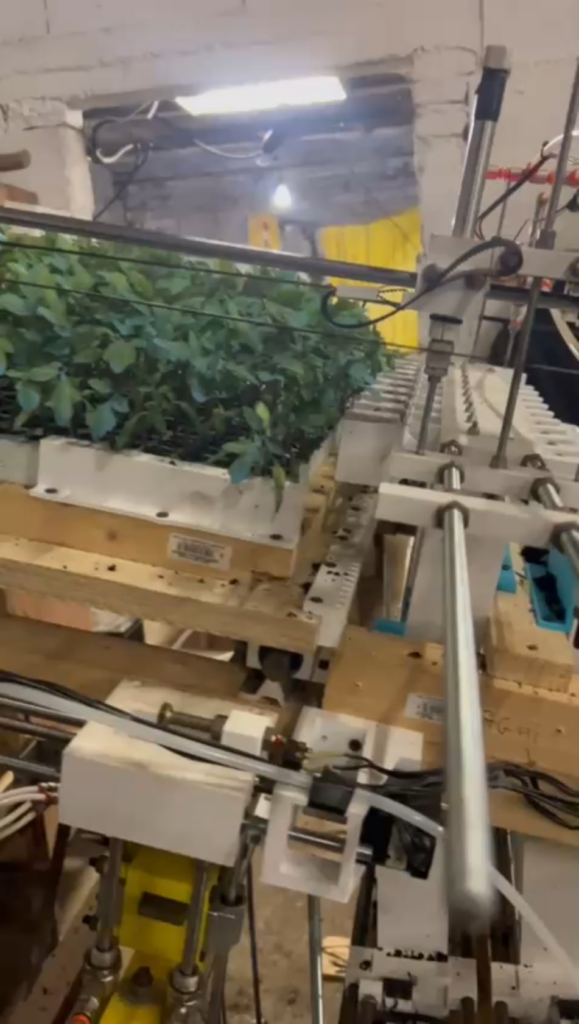 3D printed arduino tomatoes transplanter machine