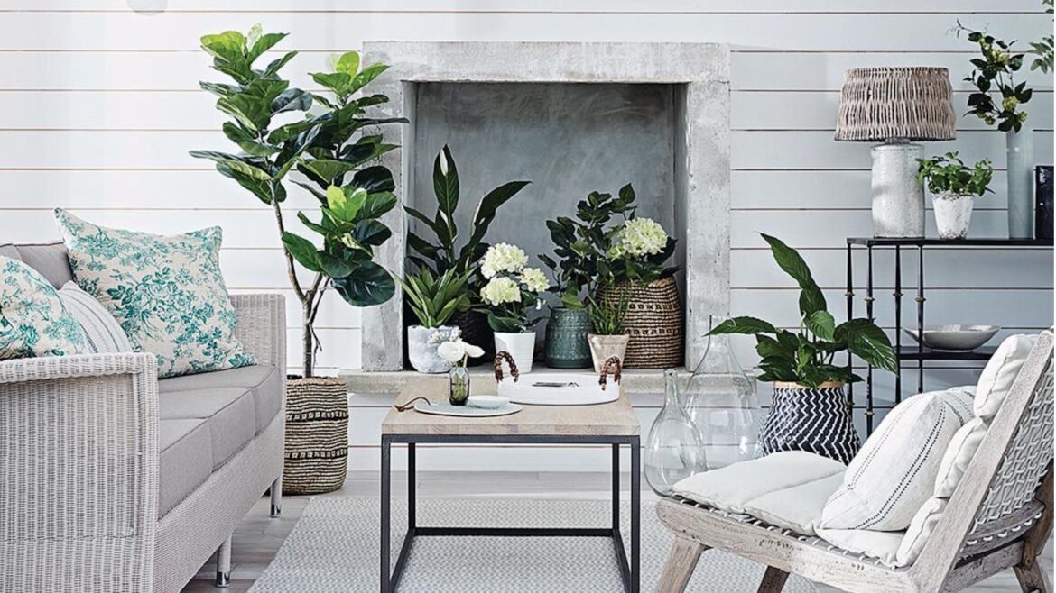 White living room with a range of houseplants