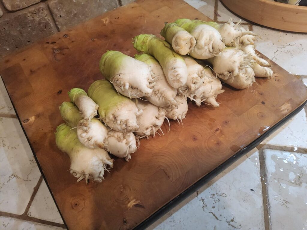 New vegetable unlocked: Bald Head Mustard root