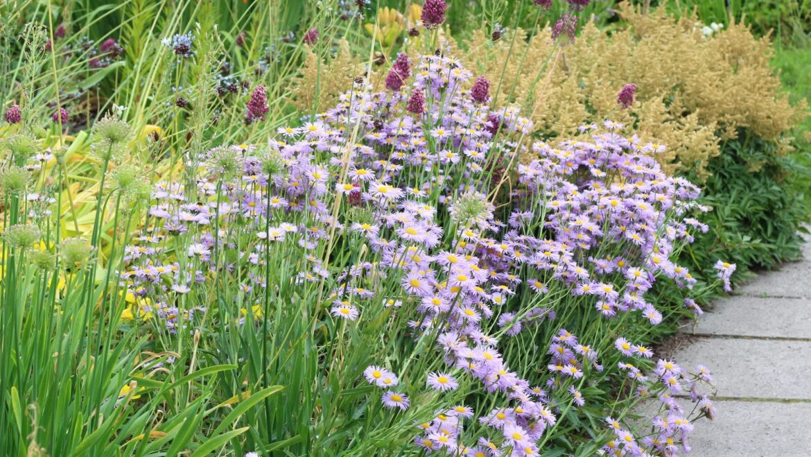 One Reddit user shared photos of a rare visitor in their Illinois yard: their "1st Northern Bobwhite."