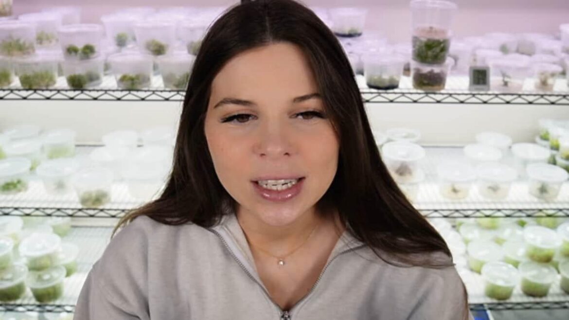 Anyone see this? "Tissue Culture: This YouTuber Is Destroying Rare Plant Market, One Clone At A Time"